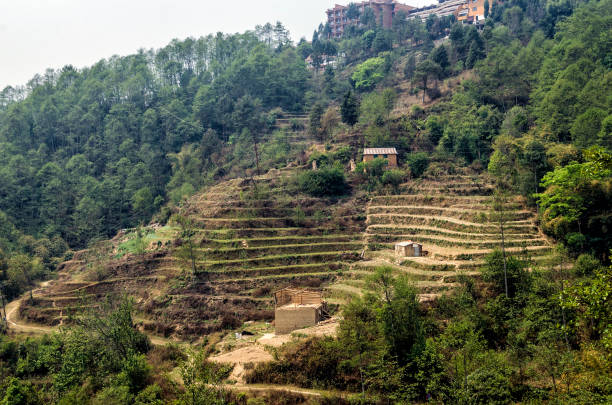 Nepalese village near Nagarkot, Nepal aerial view of villages near Nagarkot, Nepal nagarkot photos stock pictures, royalty-free photos & images