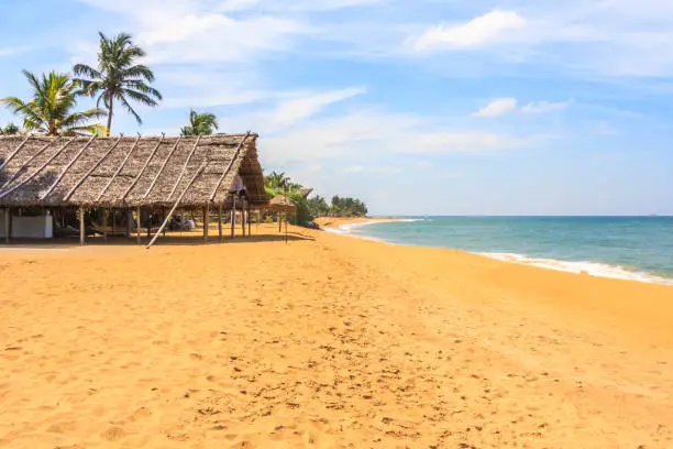 Photo of Mount Lavinia beach