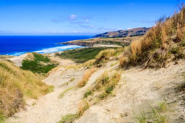 Photo of The sand dunes at Sandfly Bay