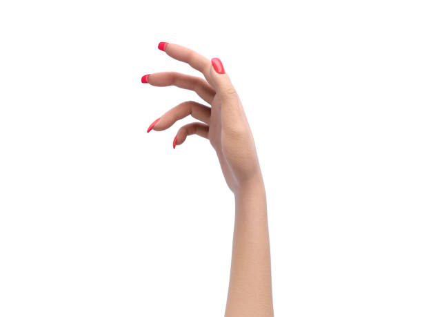 istock female hand in a static pose holding a sheet or card d render on white 1157097314