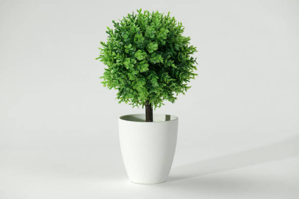 istock artificial copy of a tree bonsai on a white background 1157098075
