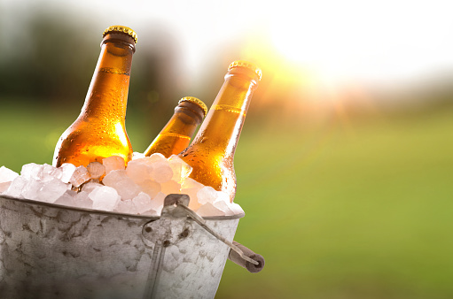 Three beer bottles in metal bucket full of ice cubes in the field close up. Horizontal composition. Front view.