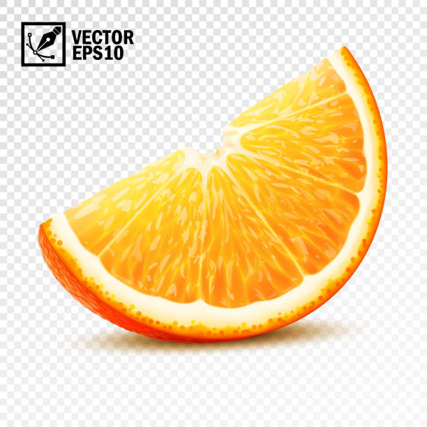 3d realistische vektorscheibe von einer halben orange - orange stock-grafiken, -clipart, -cartoons und -symbole