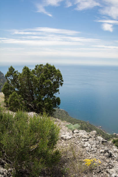 istock Landscape of Crimea 1157101064