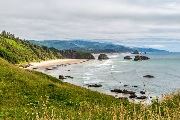 istock Oregon Coastal Landscape 1157104671