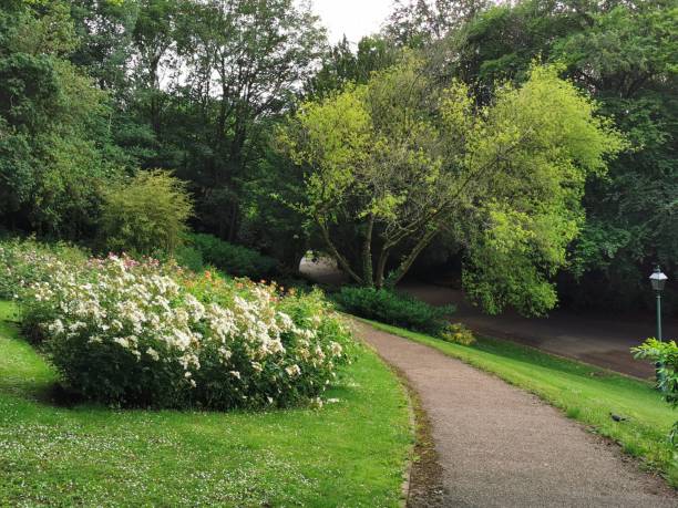 istock Avenham and Miller Park, Preston 1157105037