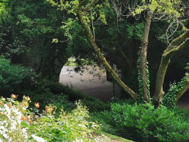 istock Avenham and Miller Park, Preston 1157105048