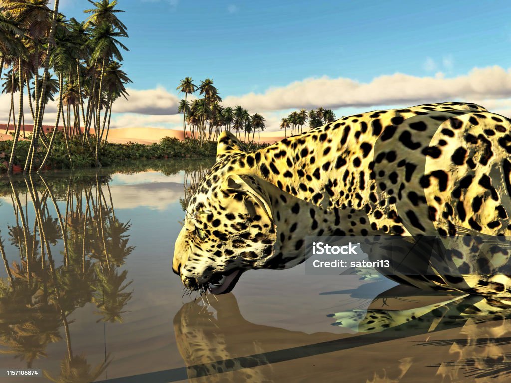 Leopard illustration Leopard in the lake Africa Stock Photo