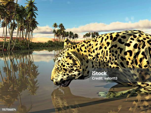 Leopard Illustration Stock Photo - Download Image Now - Africa, Alertness, Animal