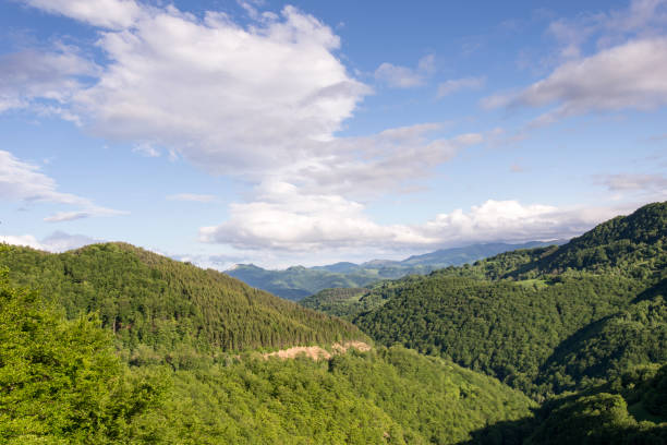 istock Beautiful landscape of mountains and forest 1157108096