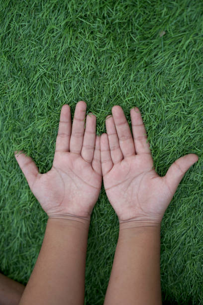 istock Girls Hand on the green grass 1157112090