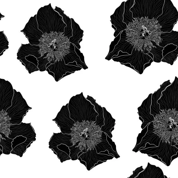Vector illustration of Black and white floral peony pattern flowers graphic background. Great for invitations, fabric, print, greeting cards décor. Y Por Yuliia Khvyshchuk