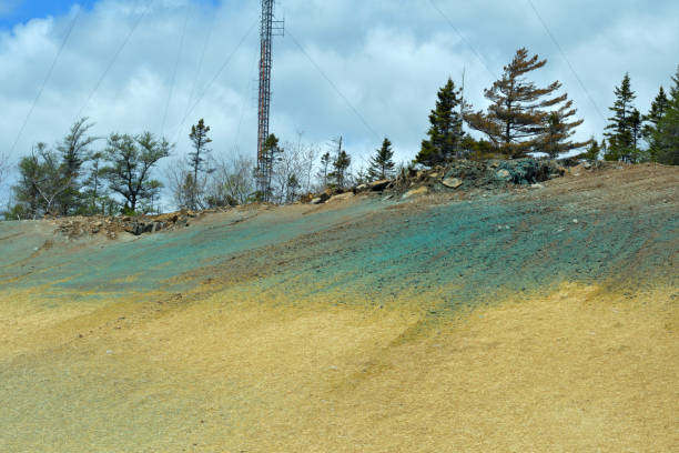 Bank Covered in Hydroseed and Hay at a Road Construction Site