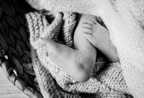 Gloomy black and white photo close up of a newborn baby feet toes under a white soft knitted blanket, baby loss concept.