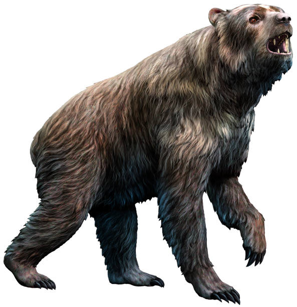istock Arctodus from the Pleistocene era 3D illustration 1157120358