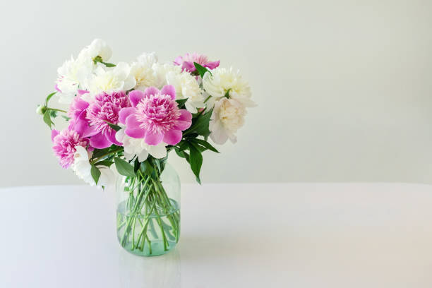 bouquet de pivoines roses, blanches et crème fraîches dans un simple bocal en verre sur une table à regard à l'intérieur. vase avec de belles fleurs tendres de ressort sur la table en verre - flower pot photos et images de collection