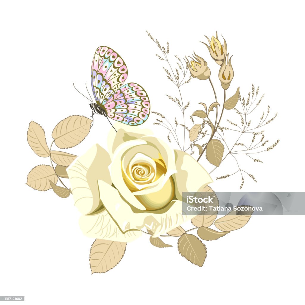 Cắm Hoa Của Hoa Hồng Vàng Đẹp Và Bướm Trên Nền Trắng Cận Cảnh Hình ...