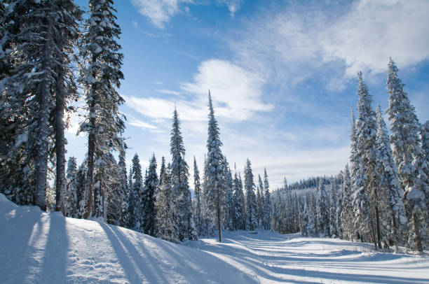 Sun Peaks Sun Peaks Ski Resort, Kamloops, BC, Canada kamloops stock pictures, royalty-free photos & images