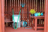 Decorative shrub with garden equipment and tools.
