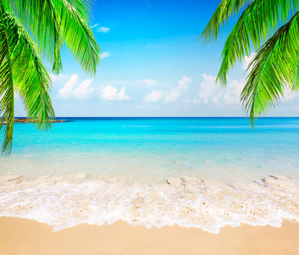 istock Vacation holidays background wallpaper. 1157131691
