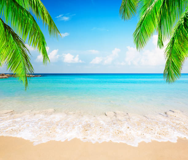 istock Vacation holidays background wallpaper. 1157131766