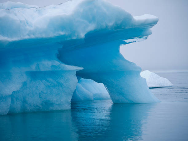 istock Icebergs, at Le Conte Glacier, Alaska 1157132007