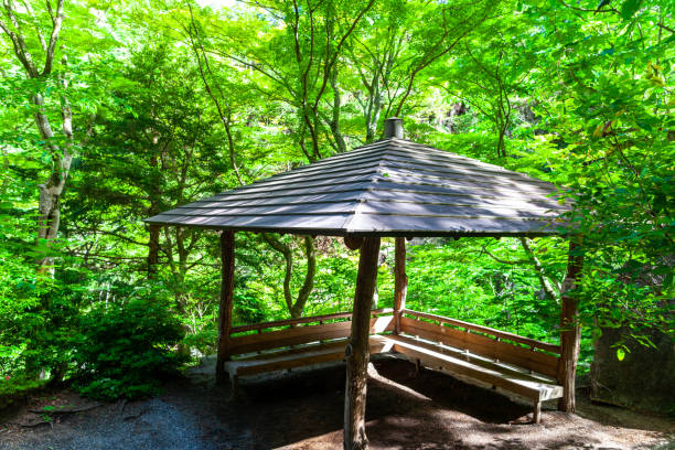 istock Trees and a wooden pavilion in forest, Japan. 1157133134