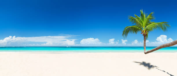 istock Travel summer holiday background concept. 1157133419