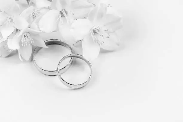 pair of gold wedding rings and white Jasmine flowers on white background with copy space, black and white photo