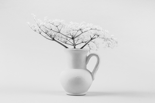 bouquet of small delicate white elderberry flowers in a white jug black and white photo