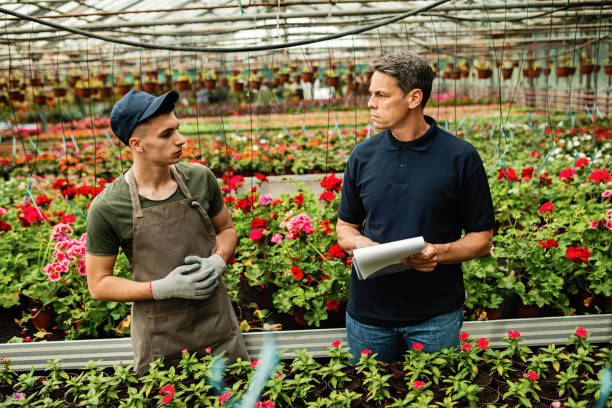 istock Young worker talking to his manager while working in a plant nursery. 1157136276