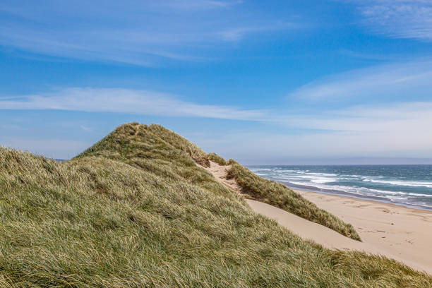 istock Oregon Coastal Landscape 1157136620
