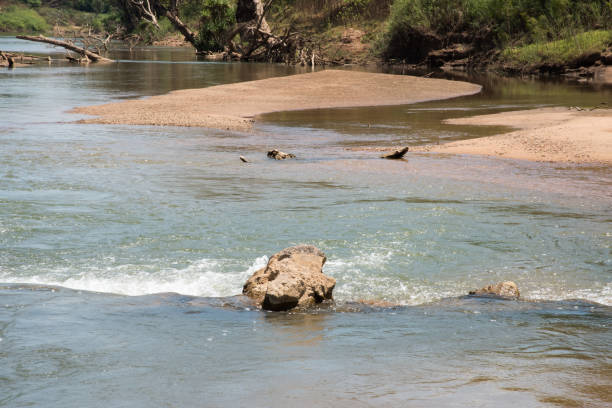 rio de fluxo de daly - northern territory australia beach wilderness area - fotografias e filmes do acervo