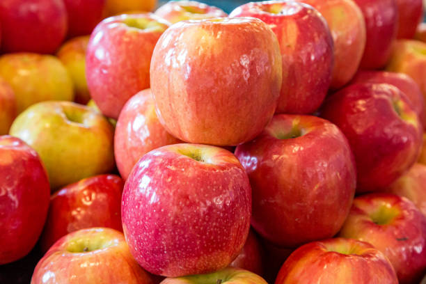 istock An Abundance of Apples 1157136764