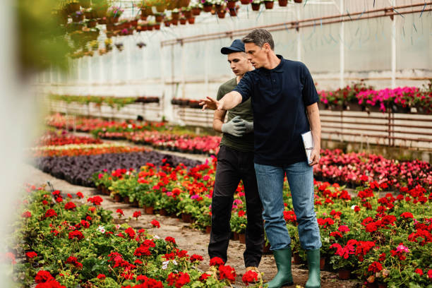 istock Two male workers discussing about potted flowers while working at plant nursery. 1157137673