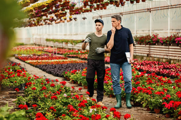 istock Greenhouse owner and his employee communicating while examining flowers. 1157138121