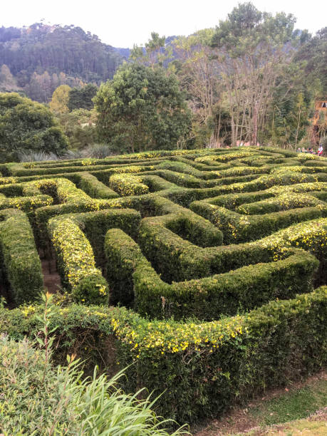 istock rice terraces in china 1157138225
