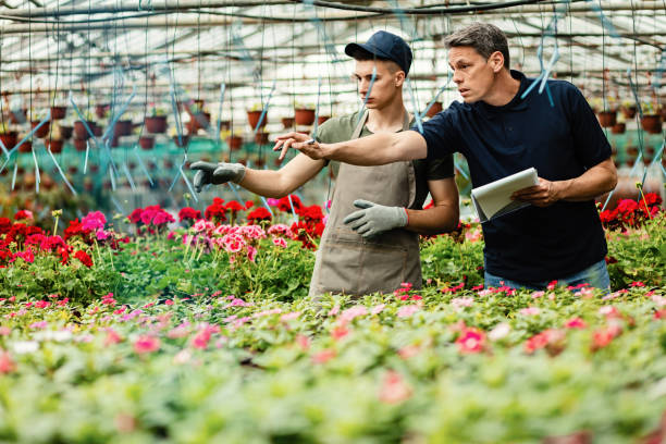 два самца флориста сотрудничают при осмотре цветов в питомнике растений. - owner florist sign business стоковые фото и изображения