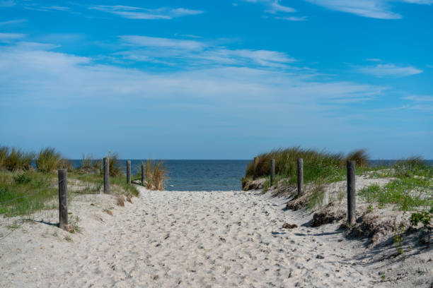 istock Scenic beach panorama on a bright summer day 1157140772
