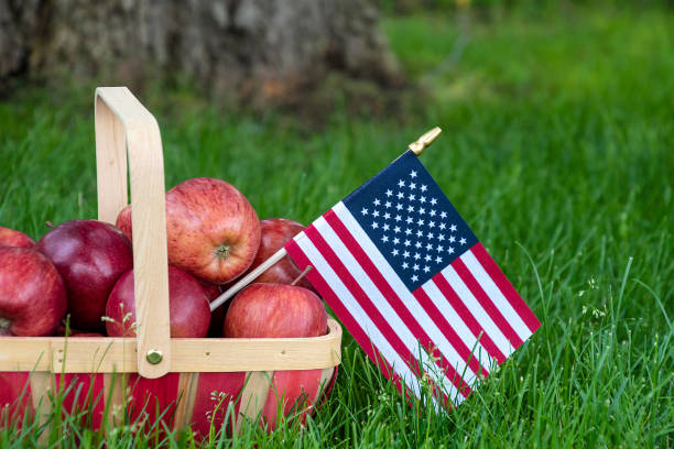 American flag with red apples stock photo