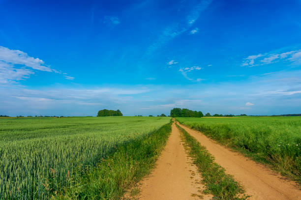 istock Gravel country road through farm fields 1157149746