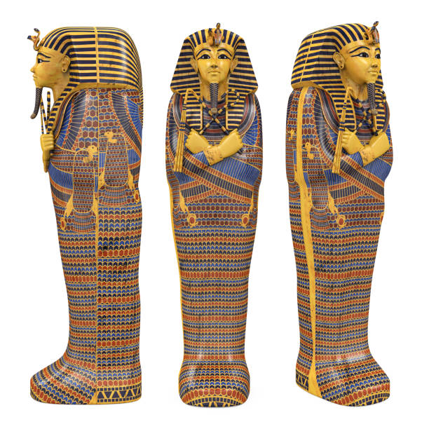 Egyptian Pharaoh Mummy Coffin Isolated Egyptian Pharaoh Mummy Coffin isolated on white background. 3D render pharaoh stock pictures, royalty-free photos & images