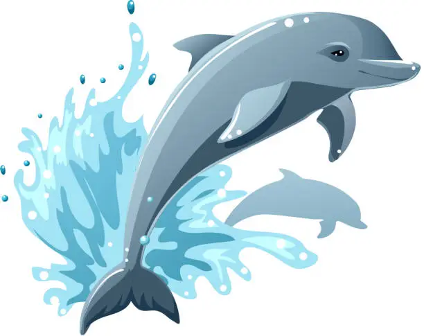 Vector illustration of Dolphins