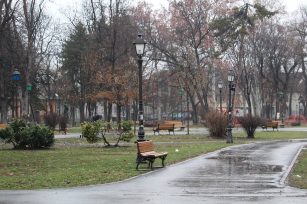 istock Rainy day in city park 1157160038