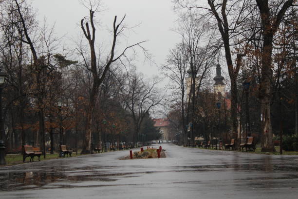 istock Rainy day in city park 1157160066