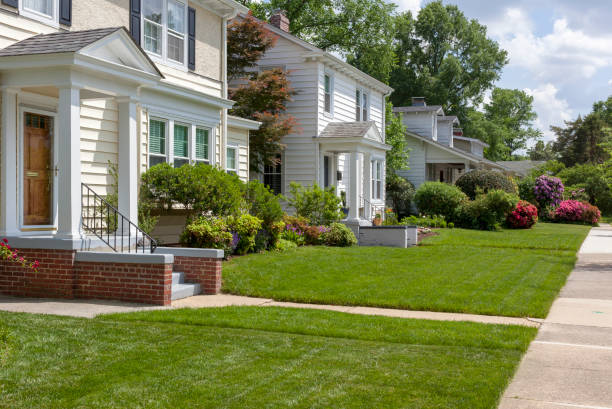 istock Manicured Neighborhood Lawns 1157162906
