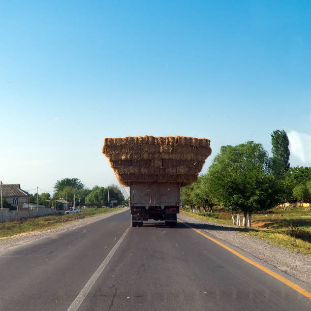 istock Truck loaded with hay on the road 1157162918