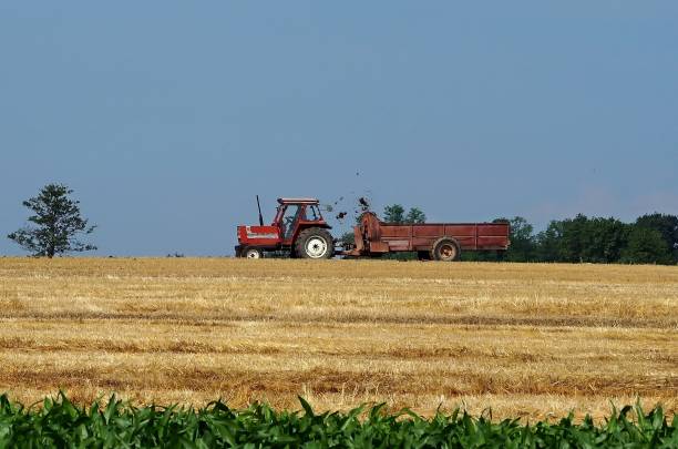 istock Tractor with trailer spreads manure on freshly cut hay field 1157164429