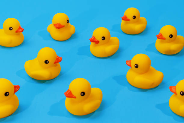 yellow rubber ducks in a pattern on blue background with copy space stock photo
