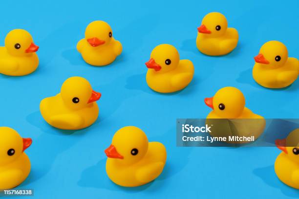 Yellow Rubber Ducks In A Pattern On Blue Background With Copy Space Stock Photo - Download Image Now